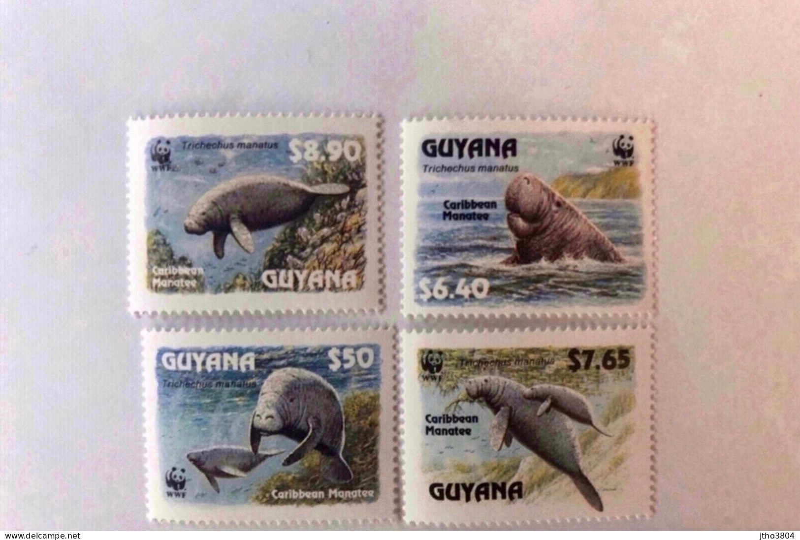 GUYANE 1993 WWF 4 V Neuf ** Mi 4081 - 4084 MNH GUYANA - Autres & Non Classés