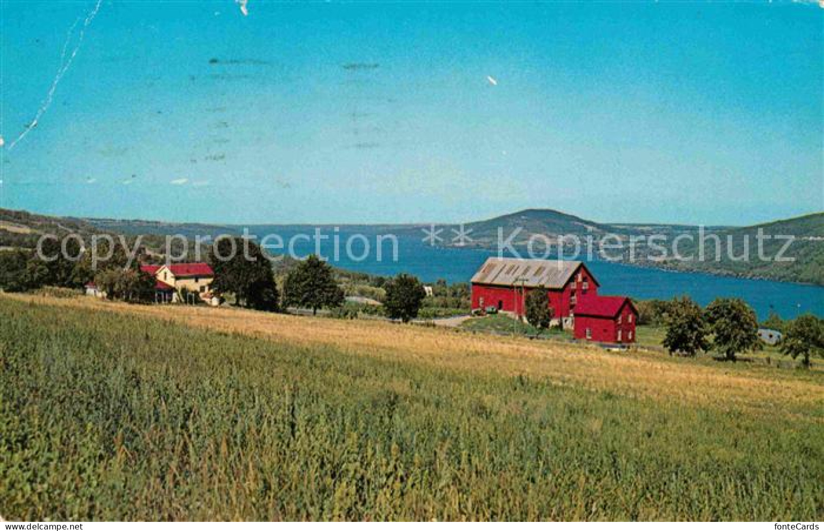 72614754 Canandaigua Lake Bare Hill And Vine Valley - Andere & Zonder Classificatie