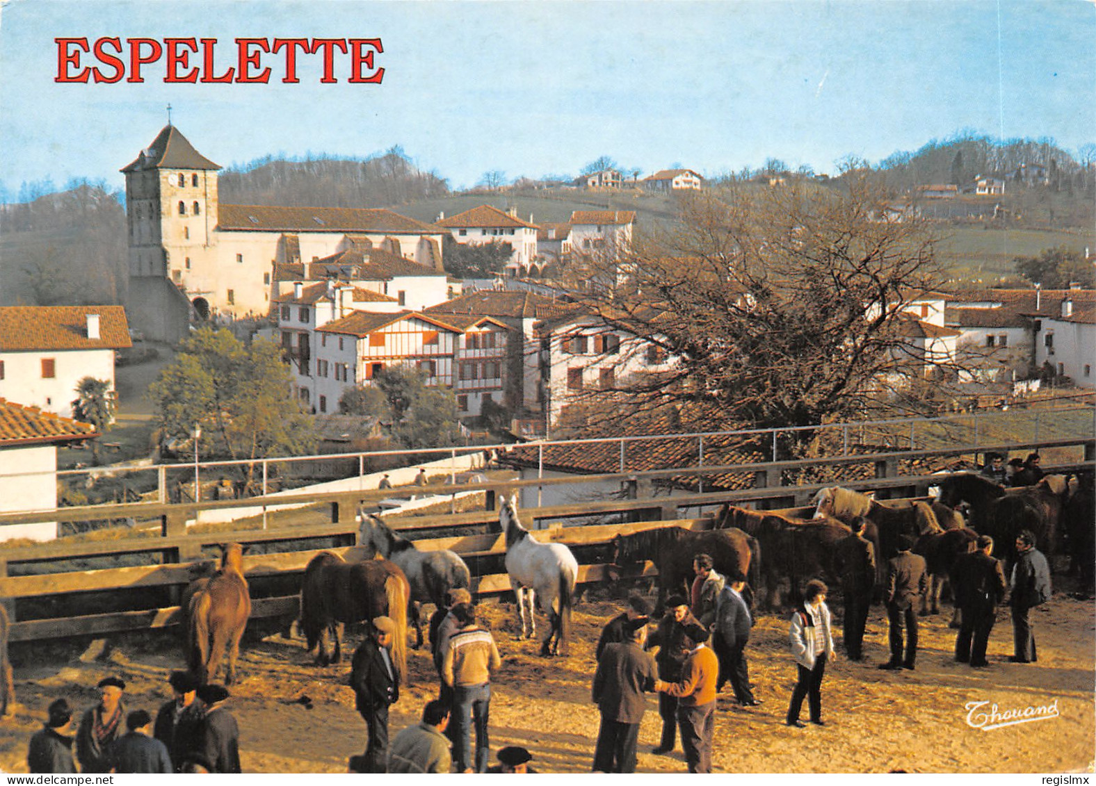 64-ESPELETTE-N°T572-A/0187 - Autres & Non Classés