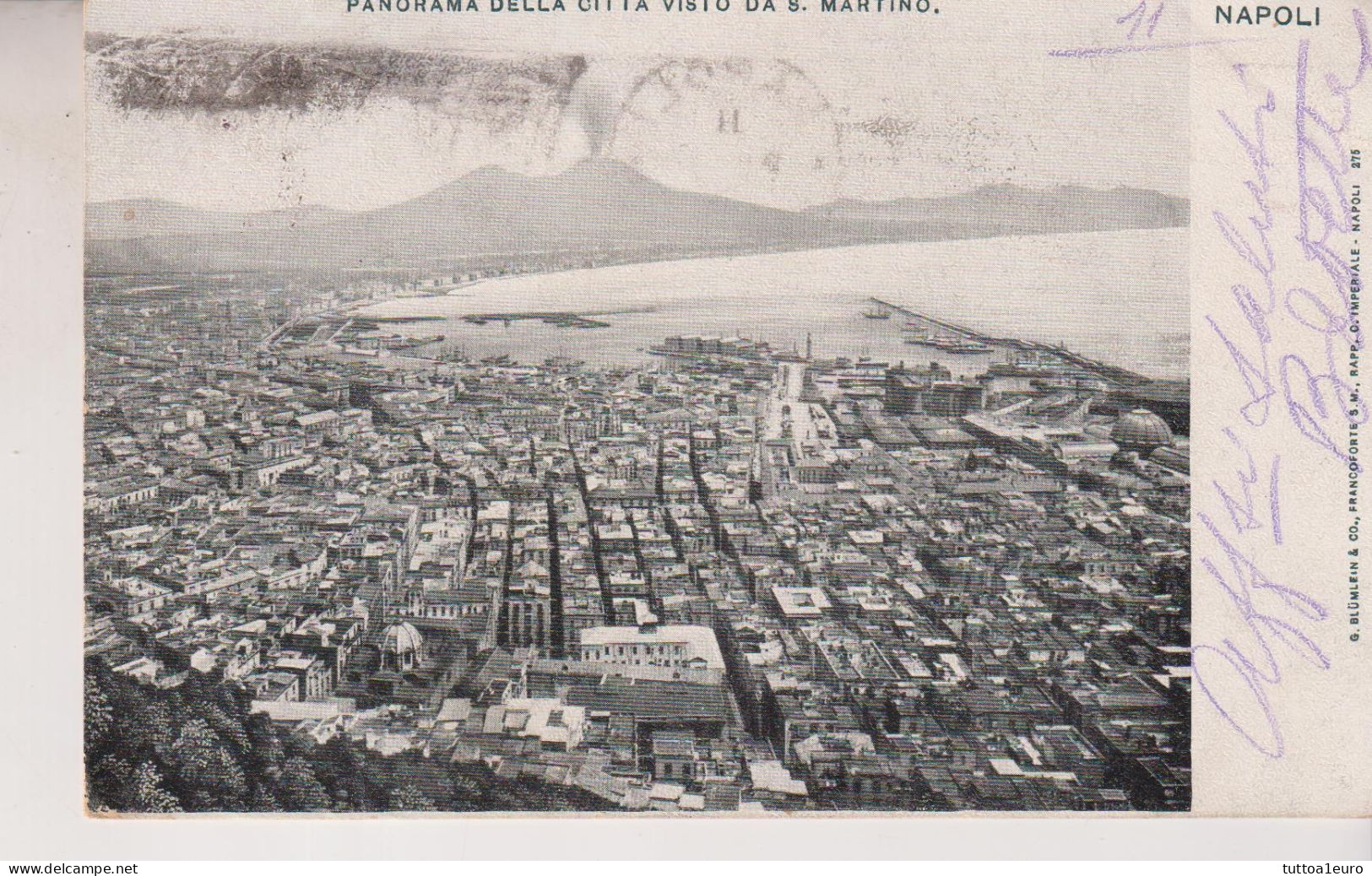 NAPOLI  PANORAMA DELLA CITTA' VISTO DA S. MARTINO VG  1902 - Napoli (Naples)