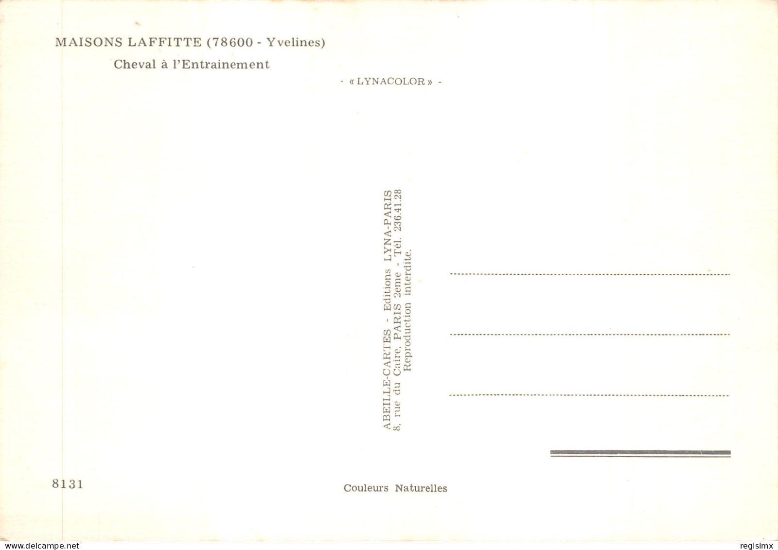 78-MAISONS LAFFITTE-CHEVAL A L ENTRAINEMENT-N°T574-A/0139 - Maisons-Laffitte