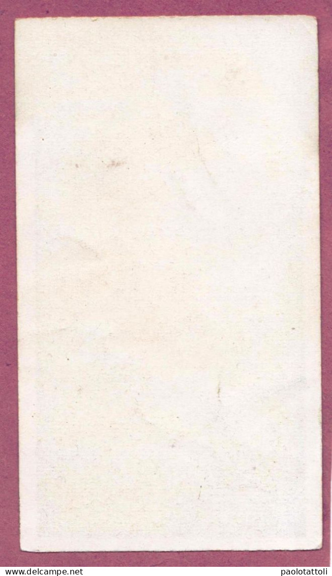 Holy Card, Santino- S. Francesco D'Assisi- Ed. FD N° 9-203- 103x 58mm - Devotion Images
