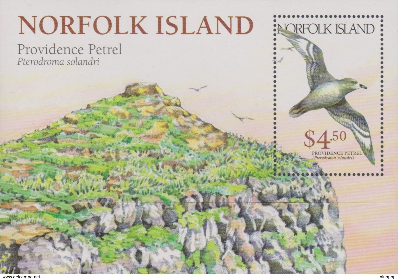 Norfolk Island ASC 689 MS 1999 Providence Petrel, Miniature Sheet, Mint Never Hinged - Ile Norfolk