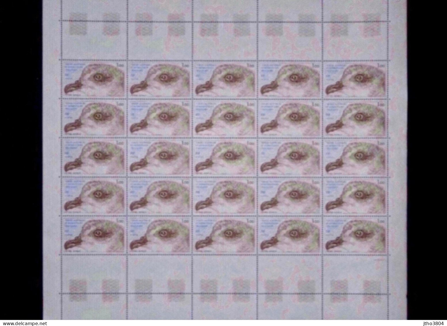 TAAF  - PLANCHE Faune De 1979 TAAF 81 Et 82 (Poste Normale) Etat Luxe ** - Unused Stamps