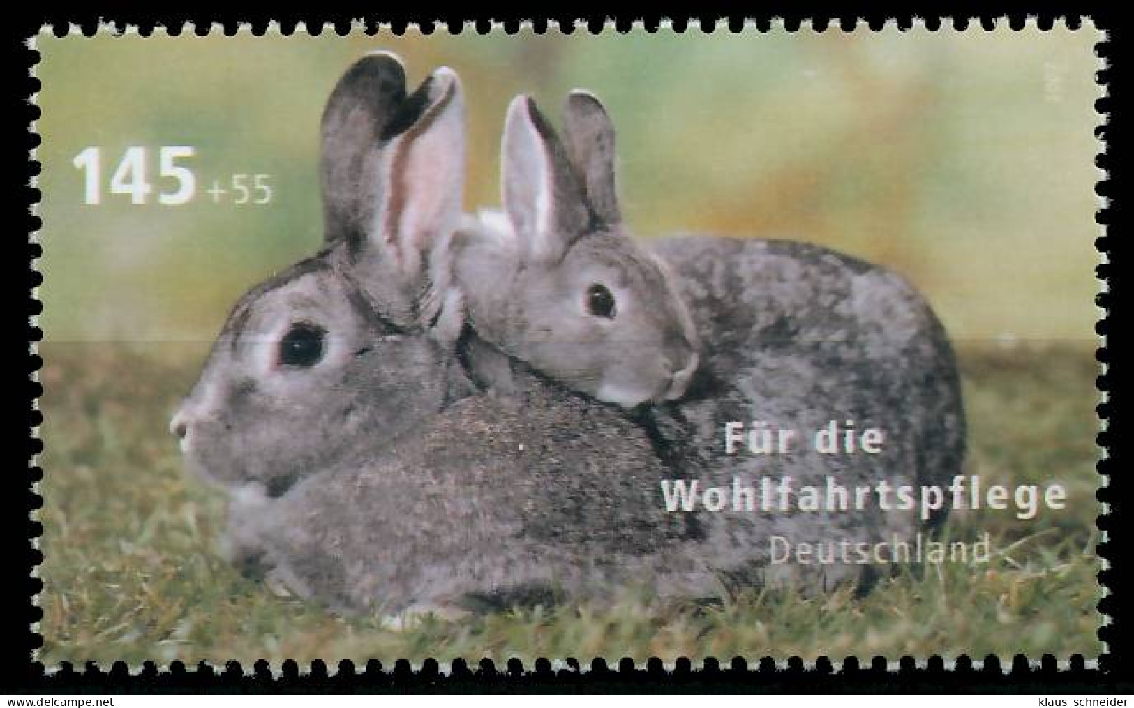 BRD BUND 2007 Nr 2633 Postfrisch S3EF4EE - Unused Stamps