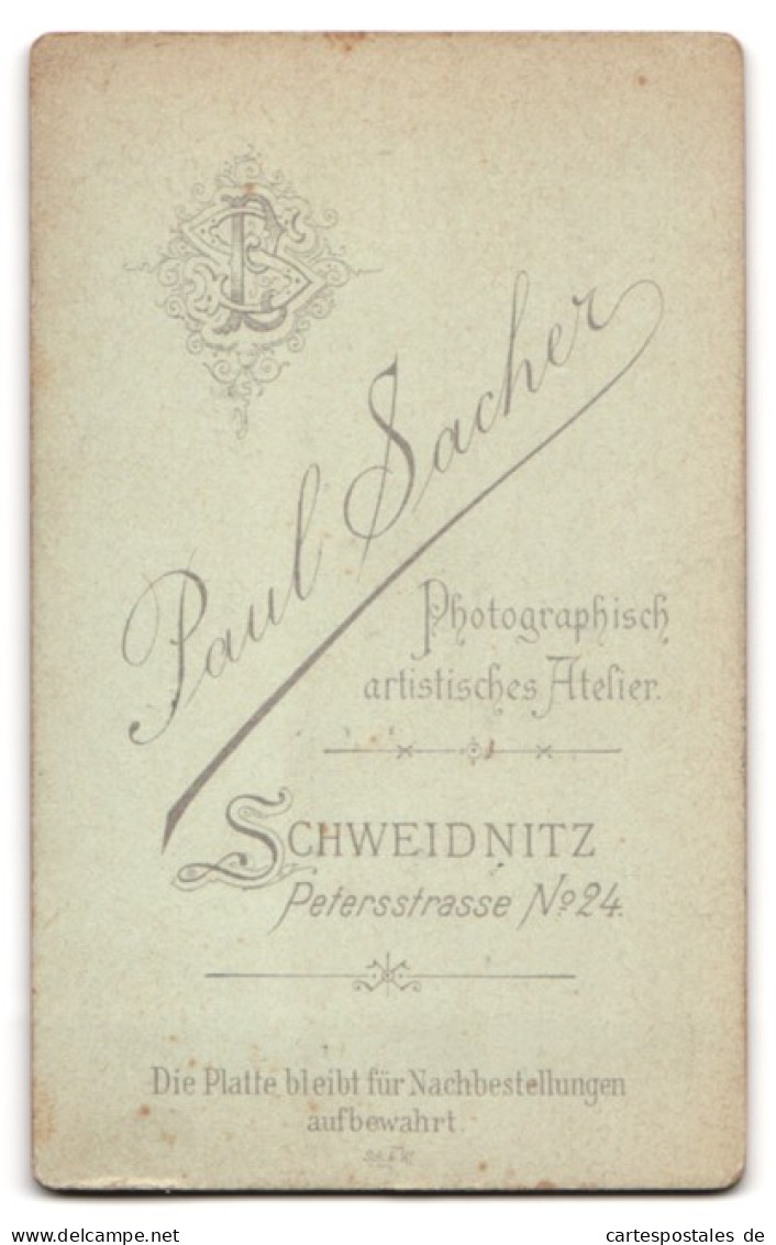 Fotografie Paul Sacher, Schweidnitz, Petersstrasse 24, Portrait Junge Dame Im Modischen Kleid  - Anonyme Personen