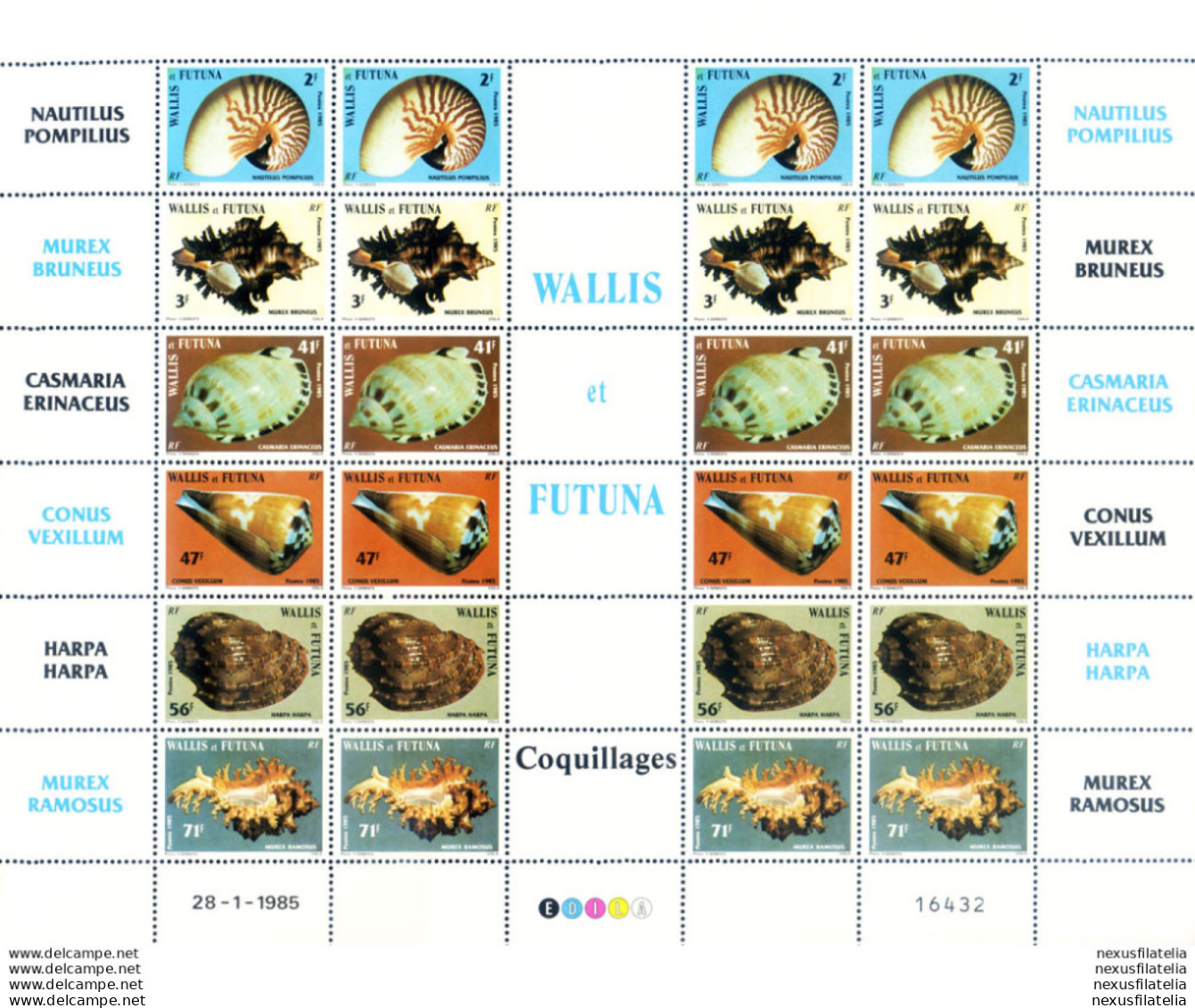 Conchiglie 1985. - Altri & Non Classificati