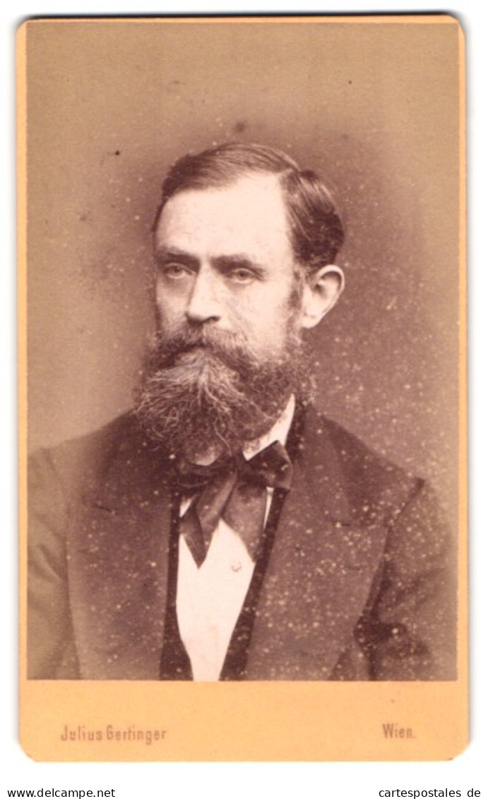 Fotografie Julius Gertinger, Wien, Margarethenstr. 19, Portrait Betagter Herr Mit Vollbart Trägt Frack  - Personnes Anonymes