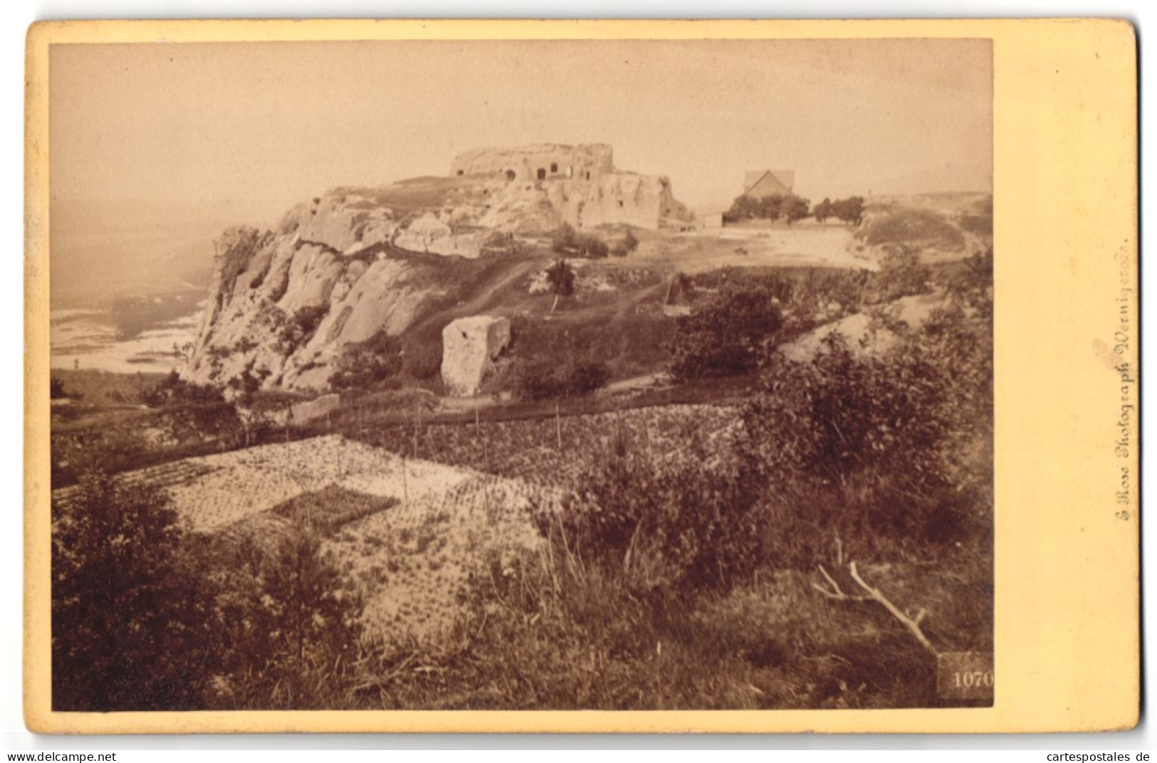 Fotografie E. Rose, Wenigerode, Ansicht Blankenburg, Ruine Burg Regenstein  - Places