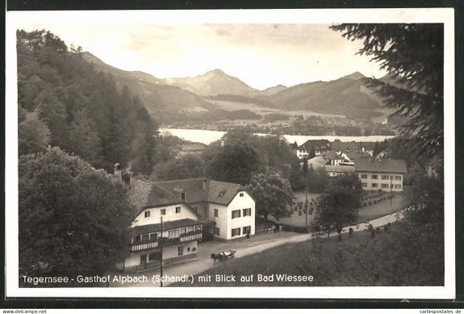 AK Tegernsee, Gasthof Alpbach Mit Blick Auf Bad Wiessee  - Tegernsee