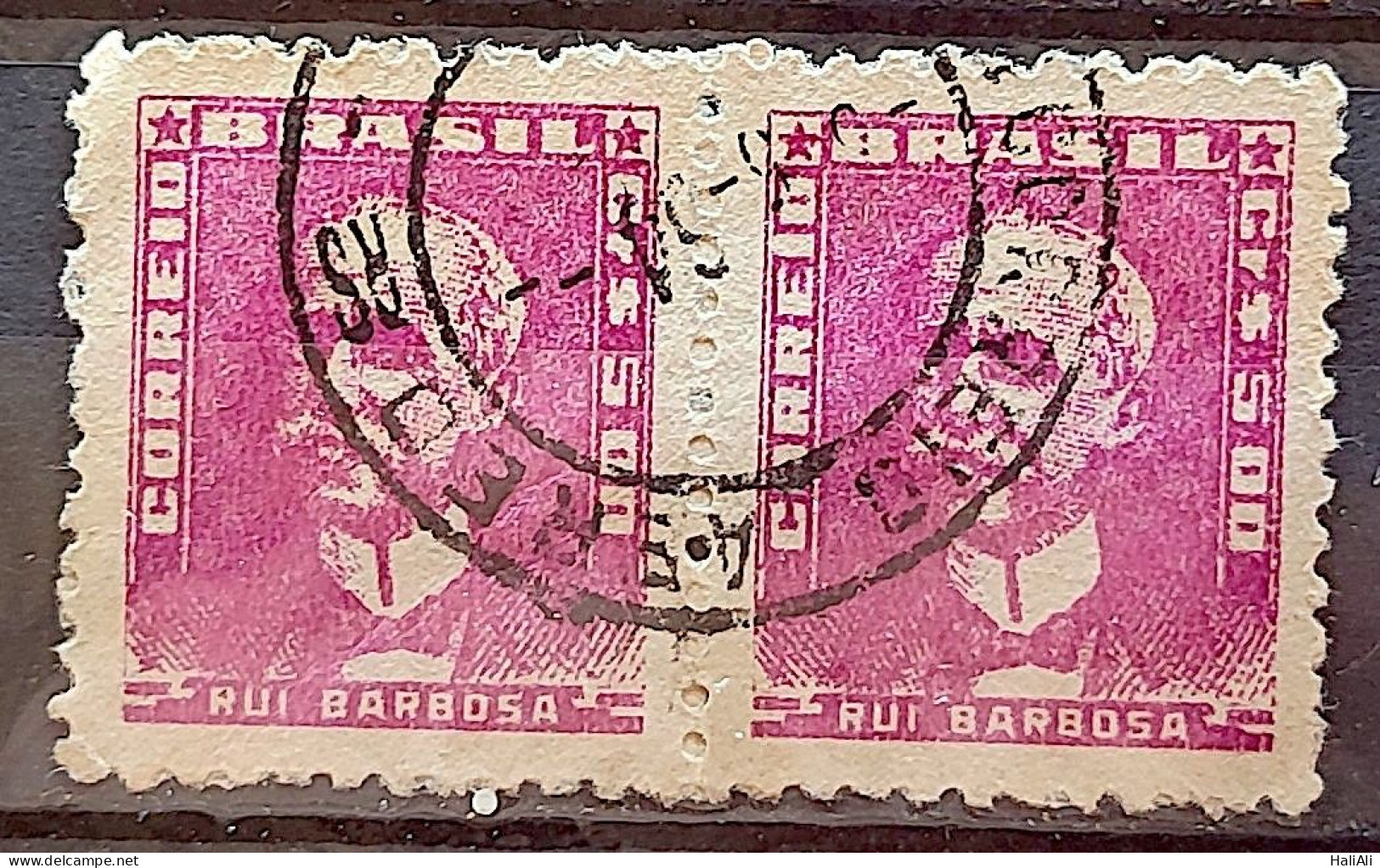 Brazil Regular Stamp RHM 507 Great-granddaughter Rui Barbosa 1961 Double Circulated 1 - Gebruikt