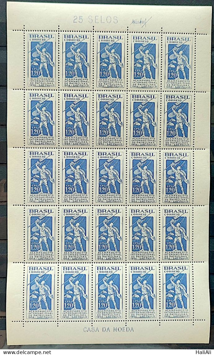 C 342 Brazil Stamp International Patrol Camp Sao Paulo Scouting 1954 Sheet - Unused Stamps