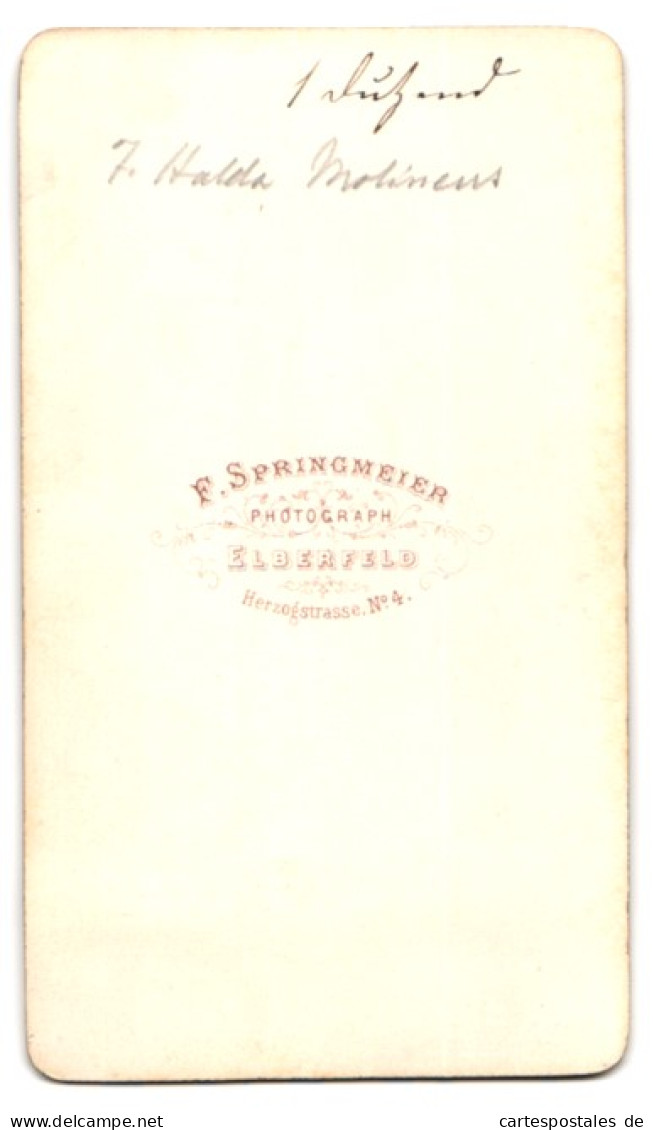 Fotografie F. Springmeier, Elberfeld, Herzogstrasse 4, Hausfrau Mit Brosche Im Sonntagskleid  - Anonymous Persons