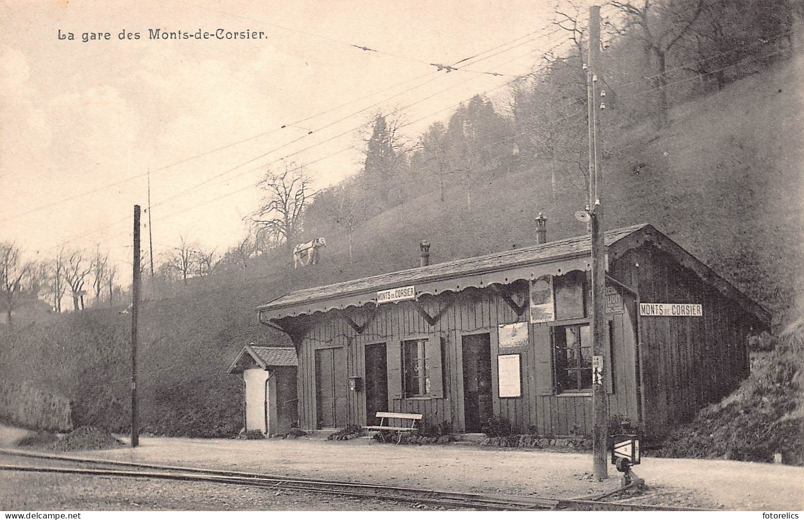 La Gare Des Monts De Corsier Vevey, Vaud CPA - Corsier-sur-Vevey