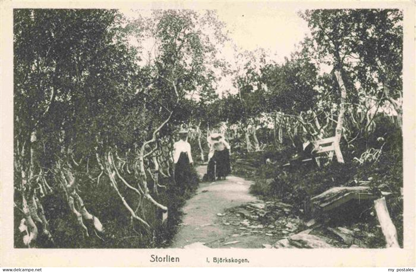 73975950 Storlien_Sweden I. Bjoerkskogen - Suède