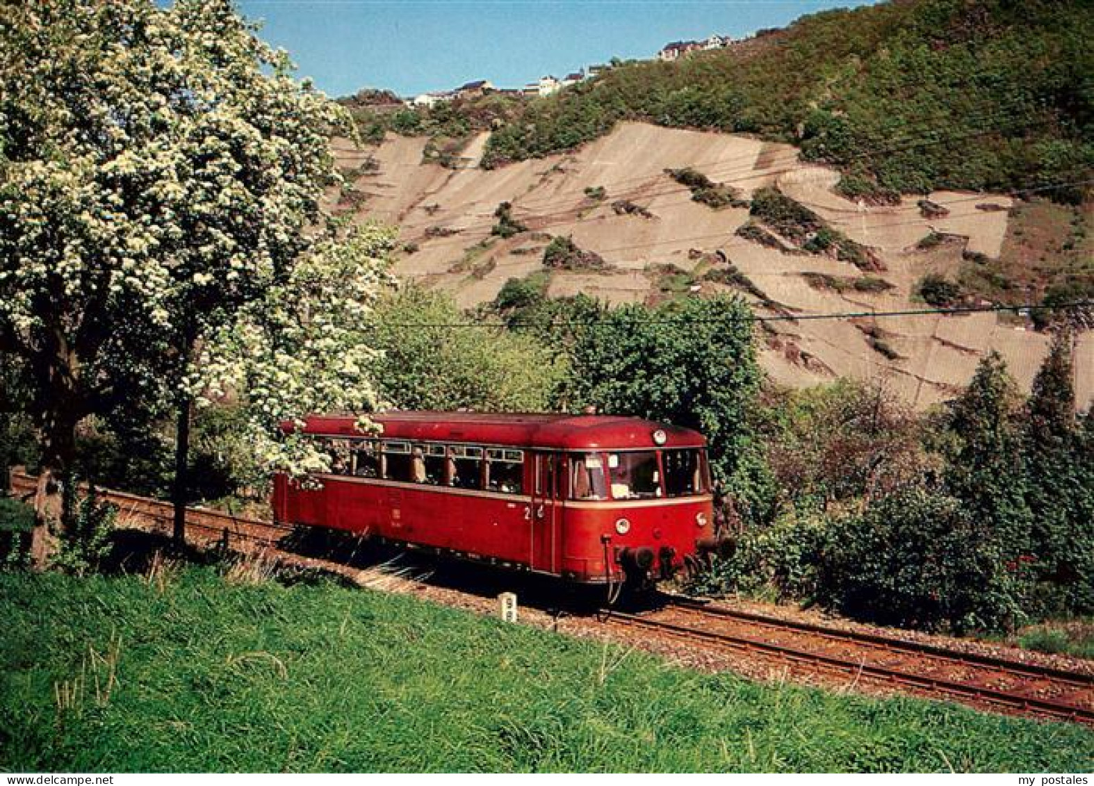 73945450 Traben-Trarbach_Mosel Schienenbus Der Baureihe 798.5 - Traben-Trarbach