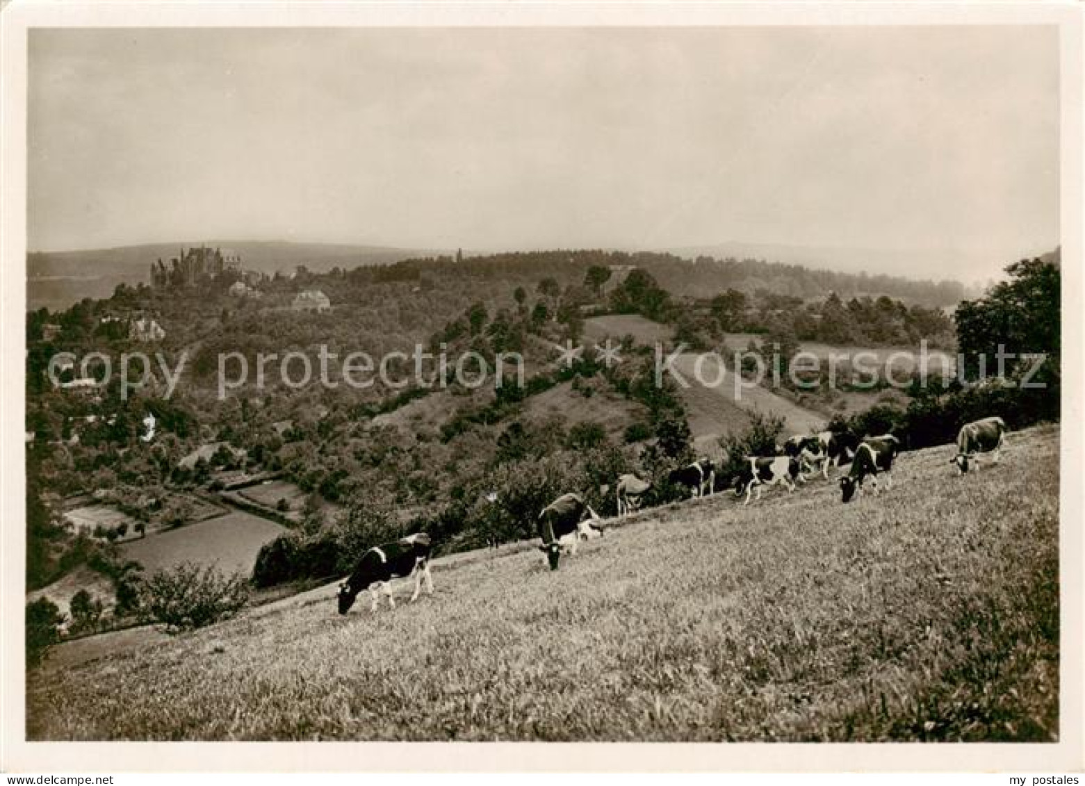 73865414 Marburg Lahn Panorama Mit Blick Auf Das Schloss Marburg Lahn - Marburg