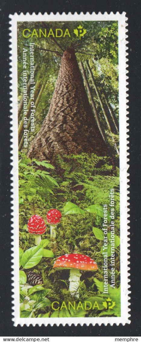 2011  International Year Of Forests Se-tenant Pair From Booklet Sc 2463a MNH - Unused Stamps