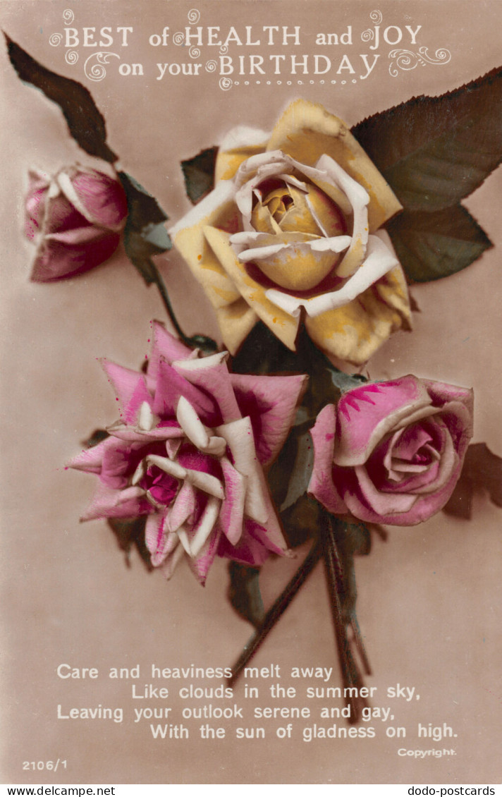 R299141 Best Of Health And Joy On Your Birthday. Roses. Real Photograph - Monde