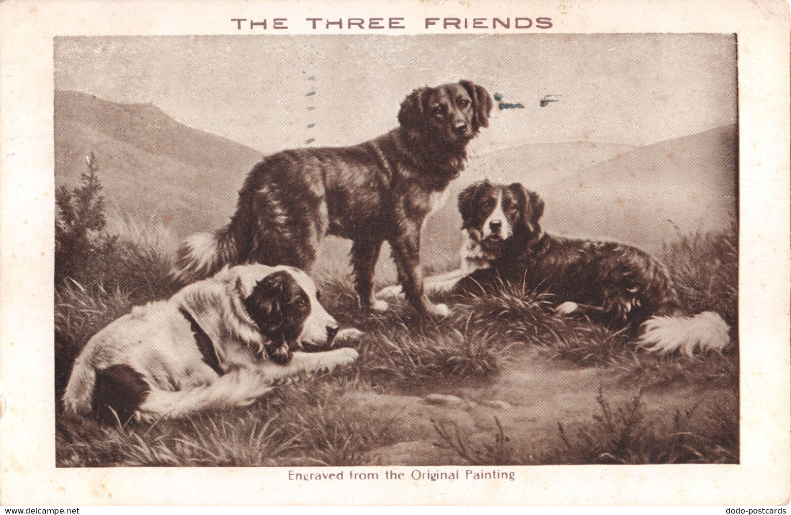 R297503 The Three Friends. Dogs. Famous Picture Series. Gilt Edge. M. T. Sheahan - Monde