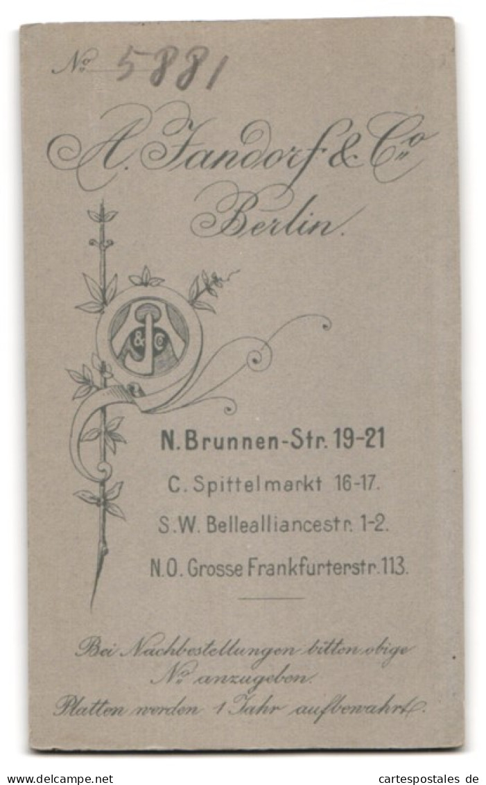 Fotografie A. Jandorf & Co., Berlin-N., Brunnen-Str. 19-21, Süsses Kleinkind Im Hemd Sitzt Auf Fell  - Anonyme Personen