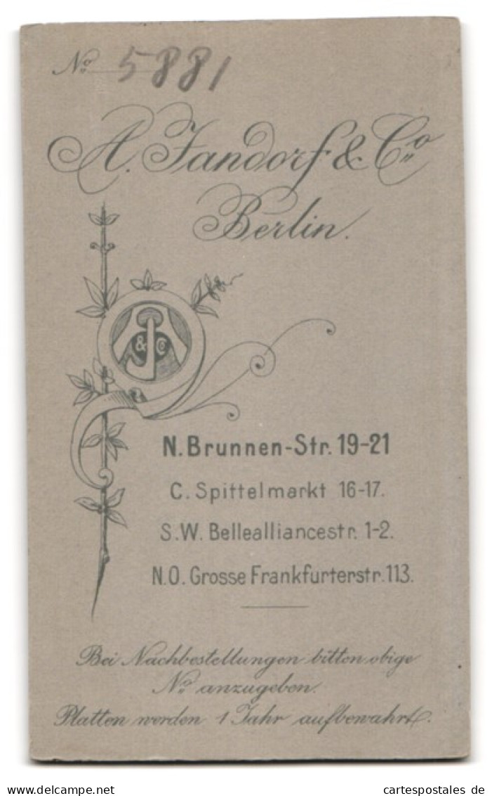 Fotografie A. Jandorf & Co., Berlin-N., Brunnen-Str. 19-21, Süsses Kleinkind Im Hemd Sitzt Auf Fell  - Anonymous Persons