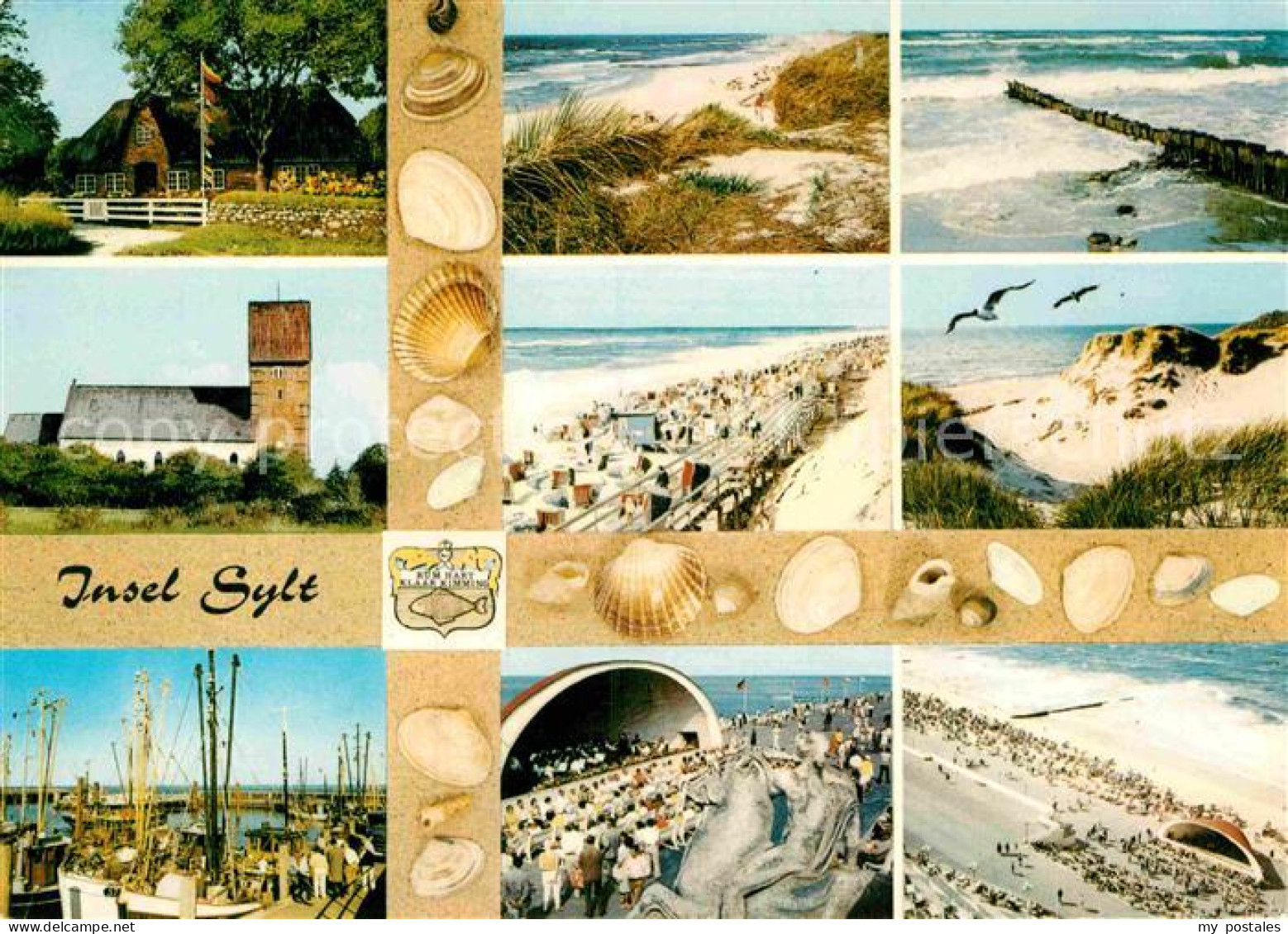 72866996 Insel Sylt Muschel Mehransichten  Westerland - Andere & Zonder Classificatie