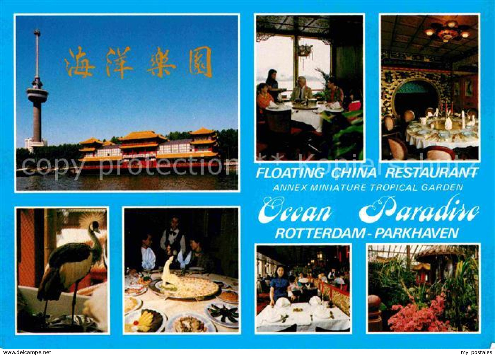 72865171 Rotterdam Floating Chine Restaurant Rotterdam - Autres & Non Classés