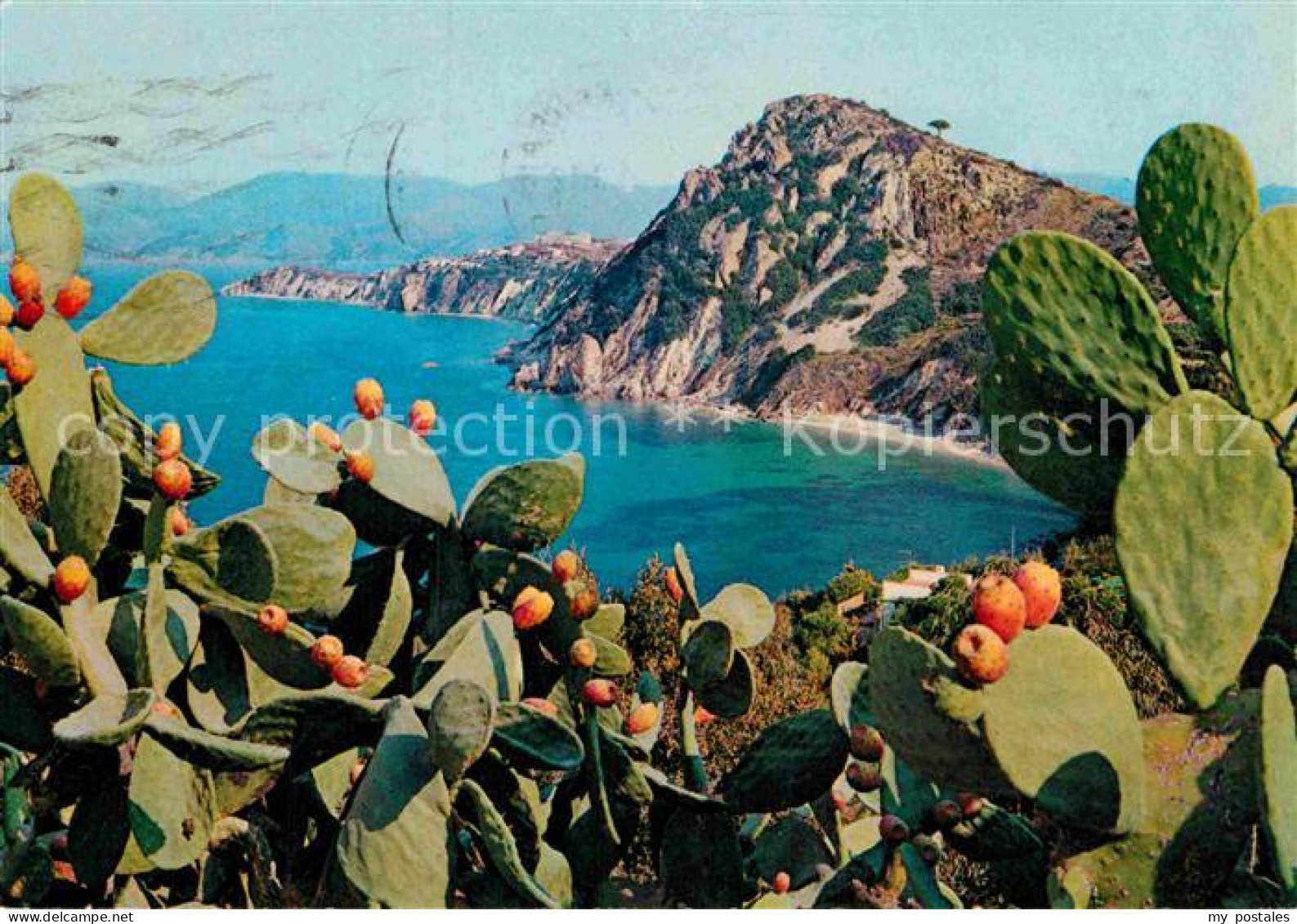 72864127 Insel Elba Golfo Di Seccione E Monte Bello Insel Elba - Sonstige & Ohne Zuordnung