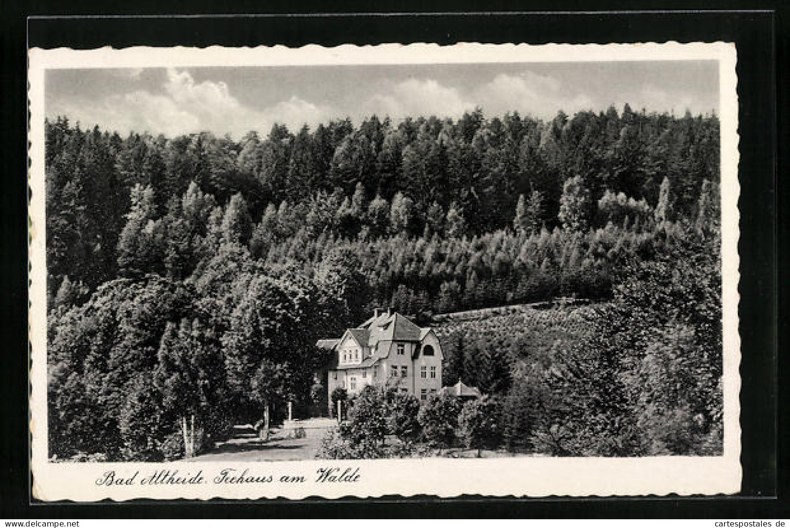 AK Bad Altheide, Teehaus Am Walde  - Schlesien