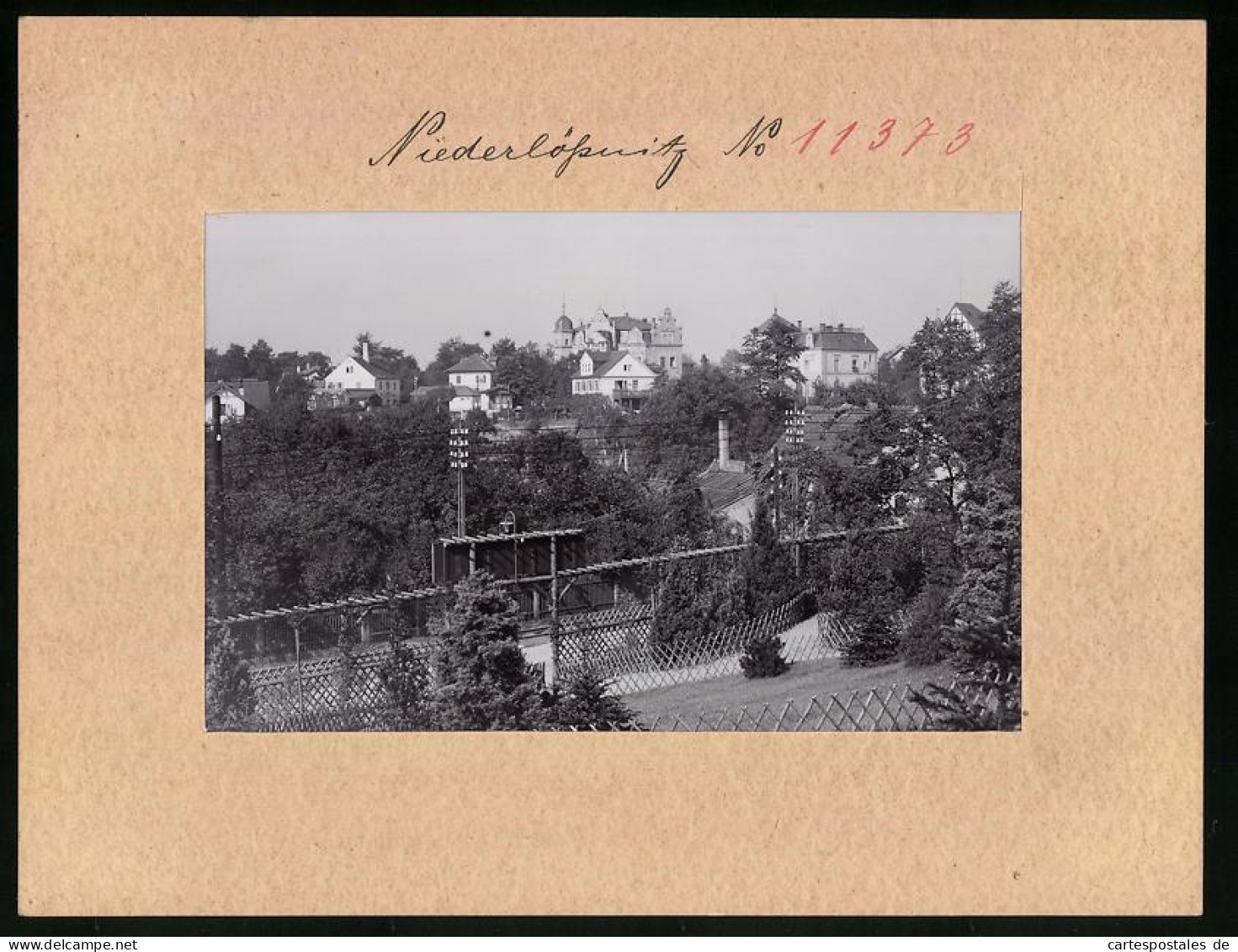 Fotografie Brück & Sohn Meissen, Ansicht Niederlössnitz, Partie An Der Paradiesstrasse Mit Blick Auf Die Villen  - Orte