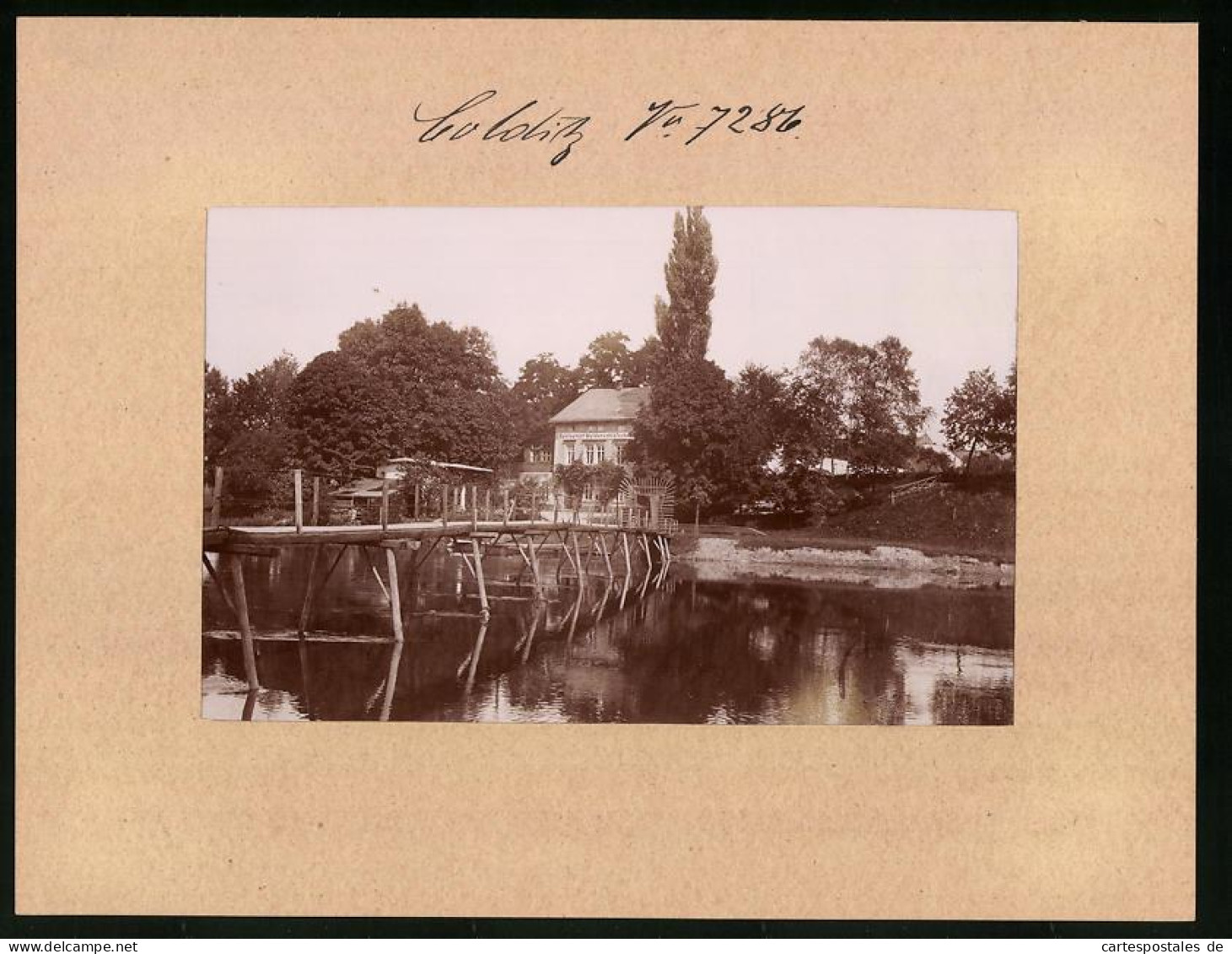 Fotografie Brück & Sohn Meissen, Ansicht Colditz, Holzbrücke über Die Mulde Mit Gasthaus Muldenschlösschen  - Lugares