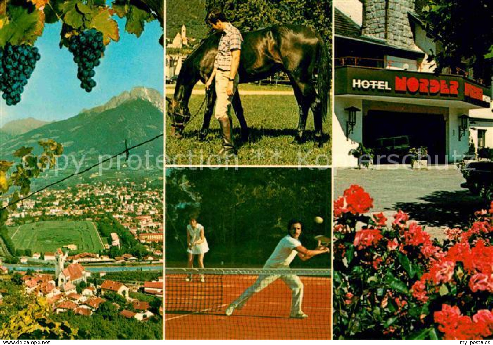 72862331 Marling Hotel Noerder Tennis Reiten Weinreben Marling Marlengo - Sonstige & Ohne Zuordnung