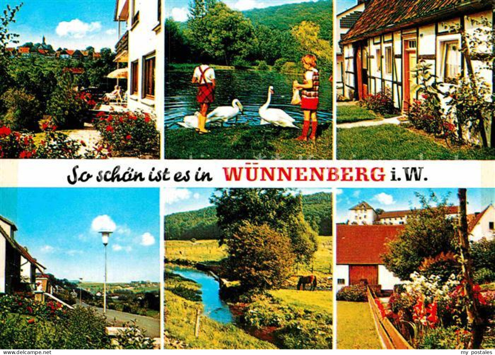 72861701 Wuennenberg Teilansichten Kneipp Luftkurort Schwanenteich Bachlauf Bad  - Bad Wuennenberg