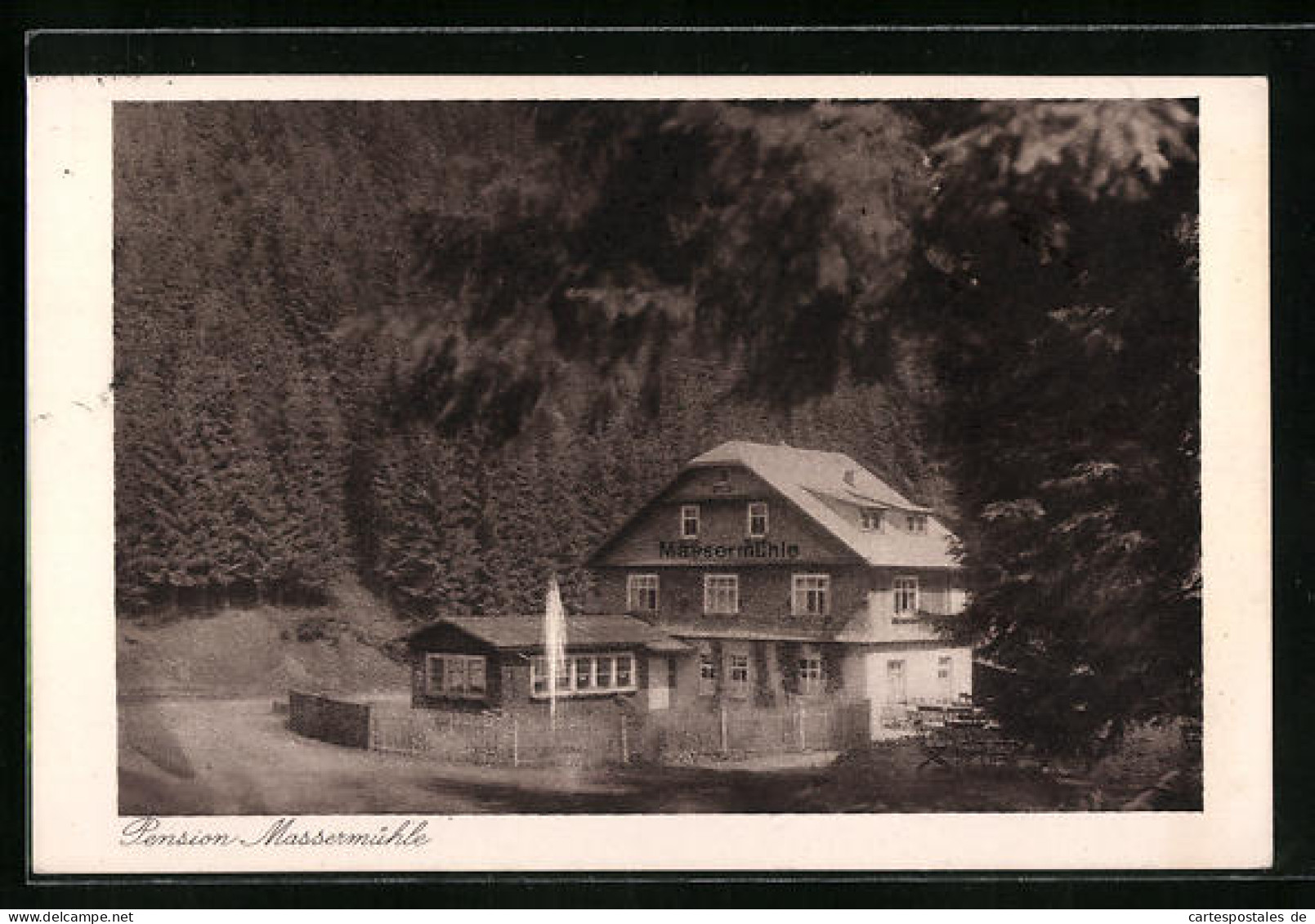 AK Oelze, Pension Massermühle Mit Wald  - Autres & Non Classés