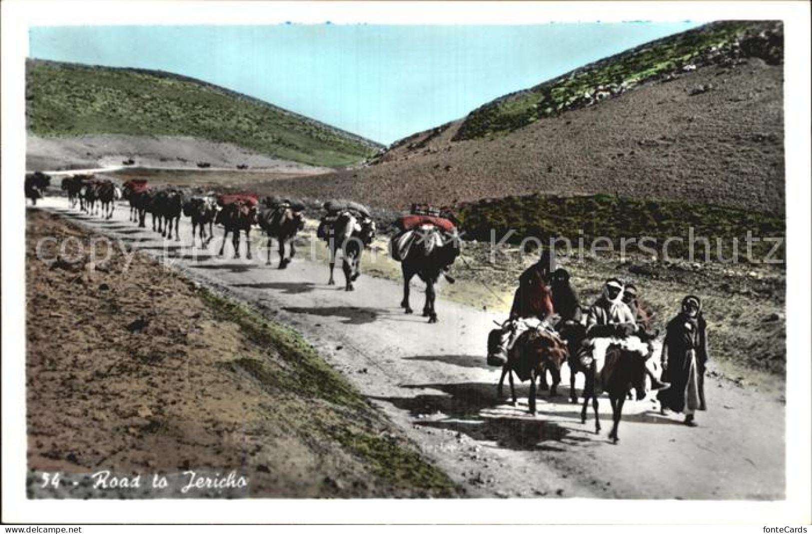 72600697 Jericho Israel Road To Jericho Jericho Israel - Israel