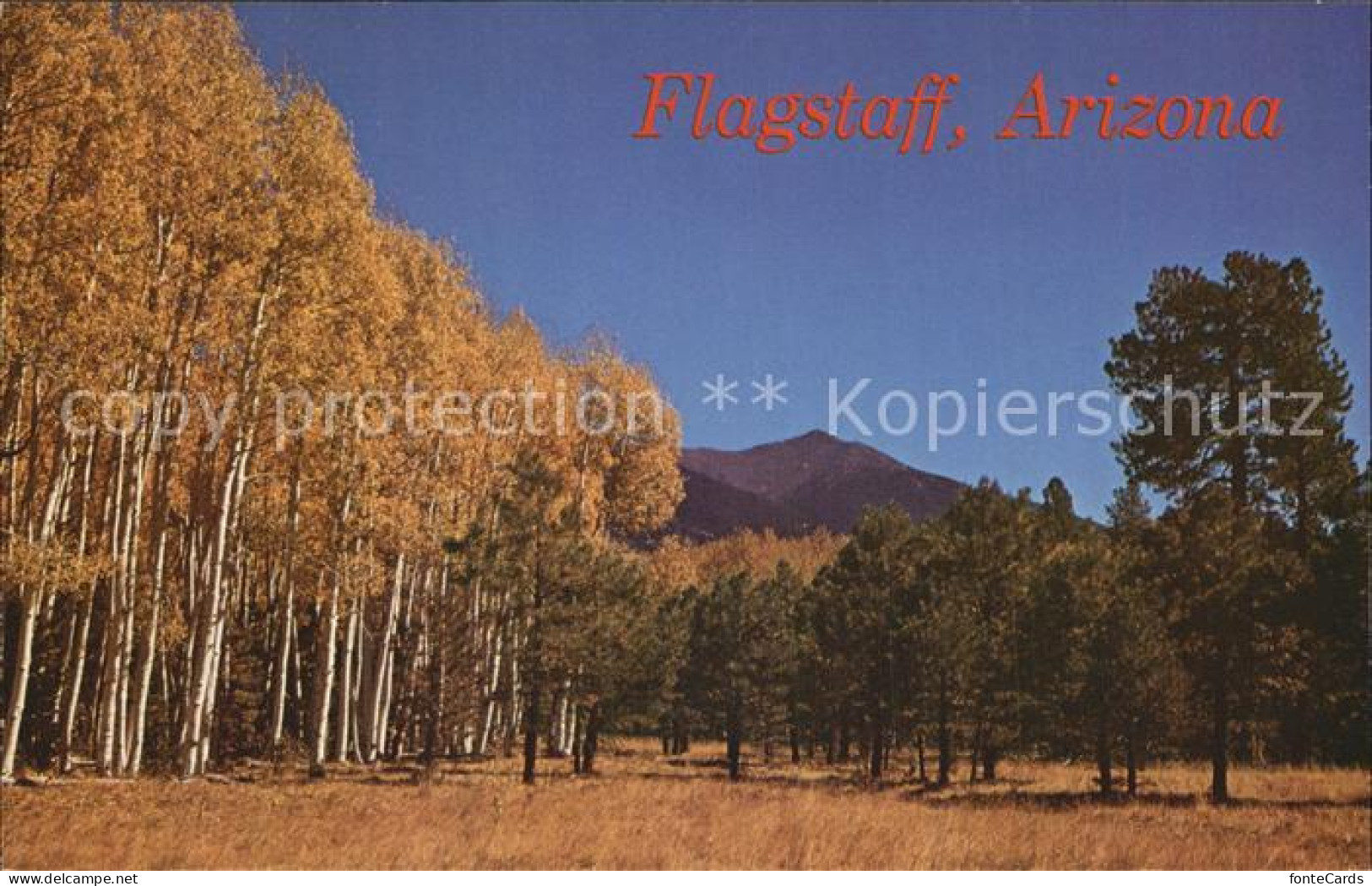 72584281 Flagstaff Arizona Autumn And San Francisco Peaks Flagstaff Arizona - Sonstige & Ohne Zuordnung