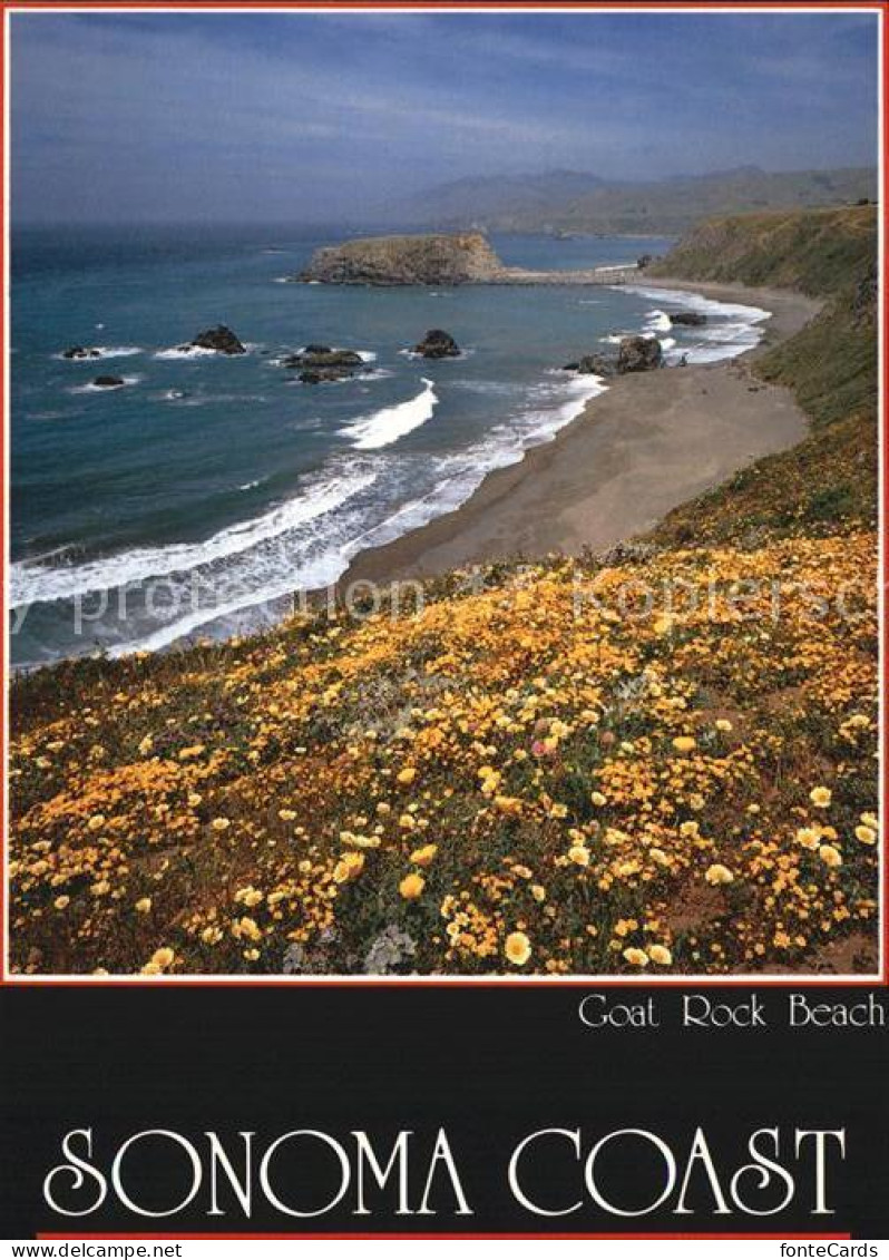 72583933 Sonoma Coat Rock Beach - Other & Unclassified