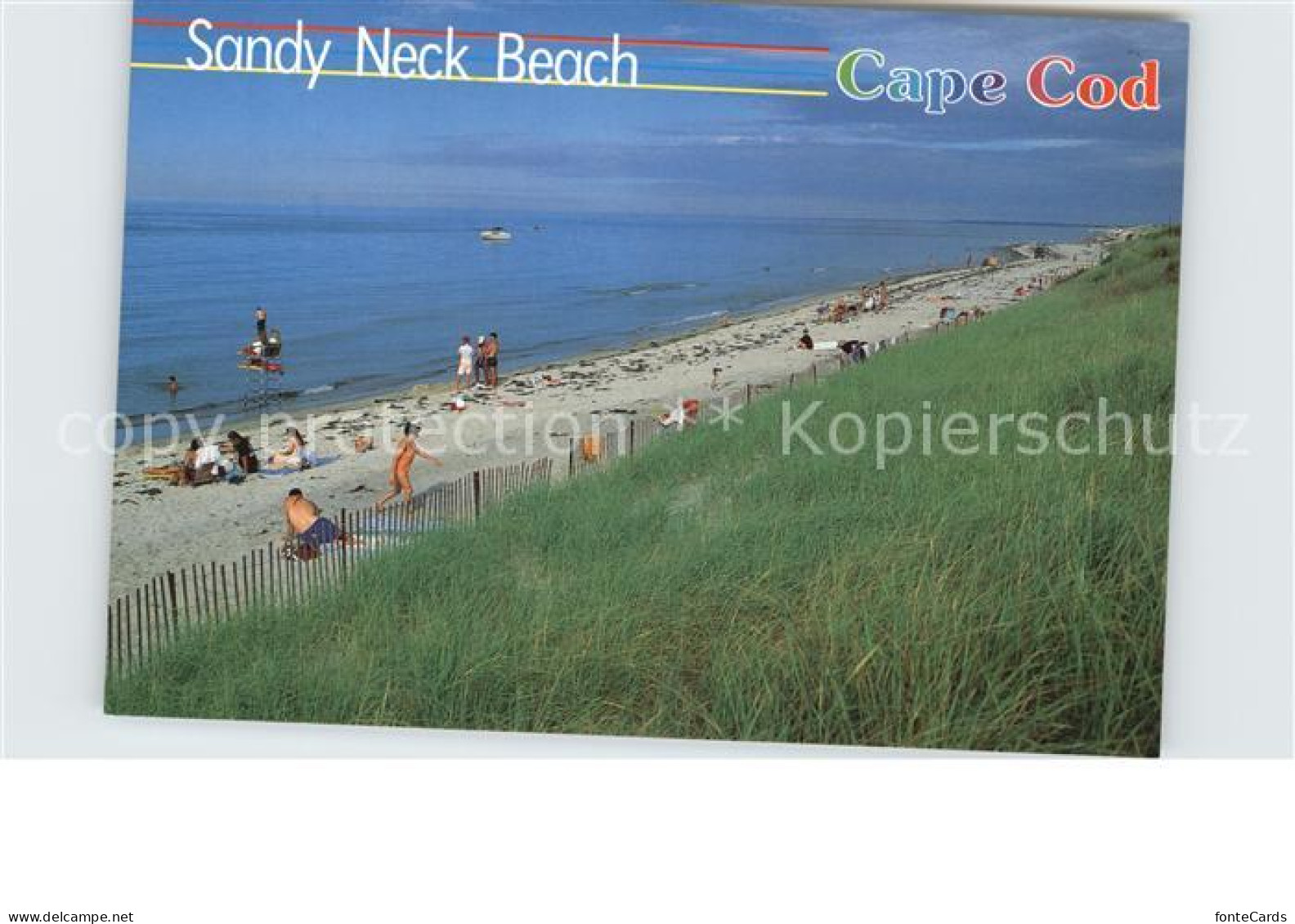 72583041 Cape Cod Mass. Sandy Neck Beach Cape Cod Mass. - Altri & Non Classificati