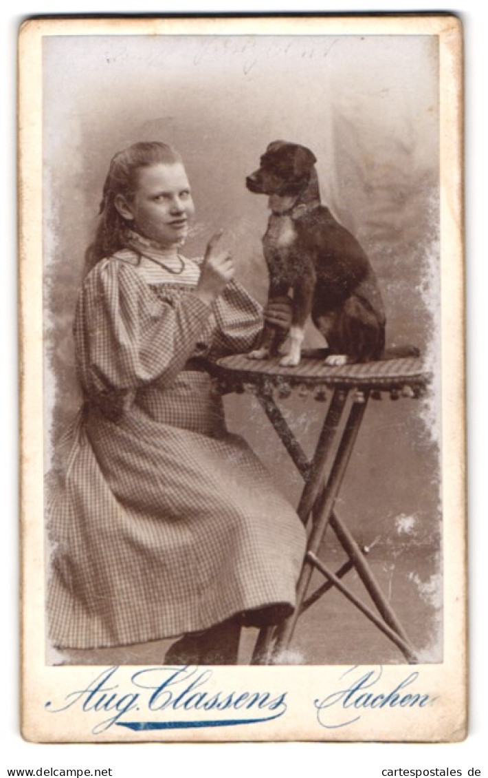 Fotografie Aug. Classens, Aachen, Junges Mädchen Im Karierten Kleid Mit Ihrem Hund Auf Dem Tisch, Mach Sitz  - Anonyme Personen