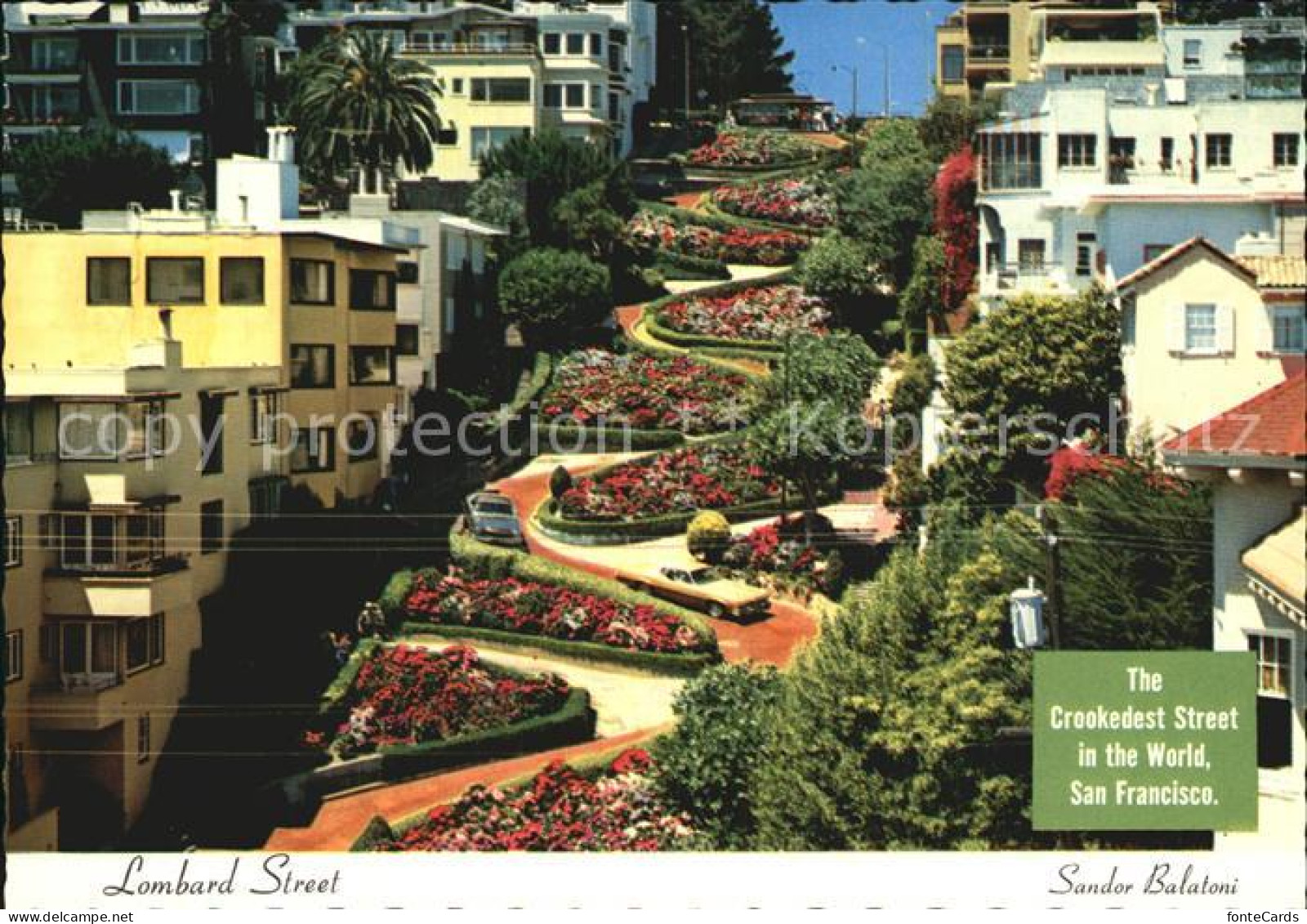 72582832 San_Francisco_California Lombard Street - Andere & Zonder Classificatie