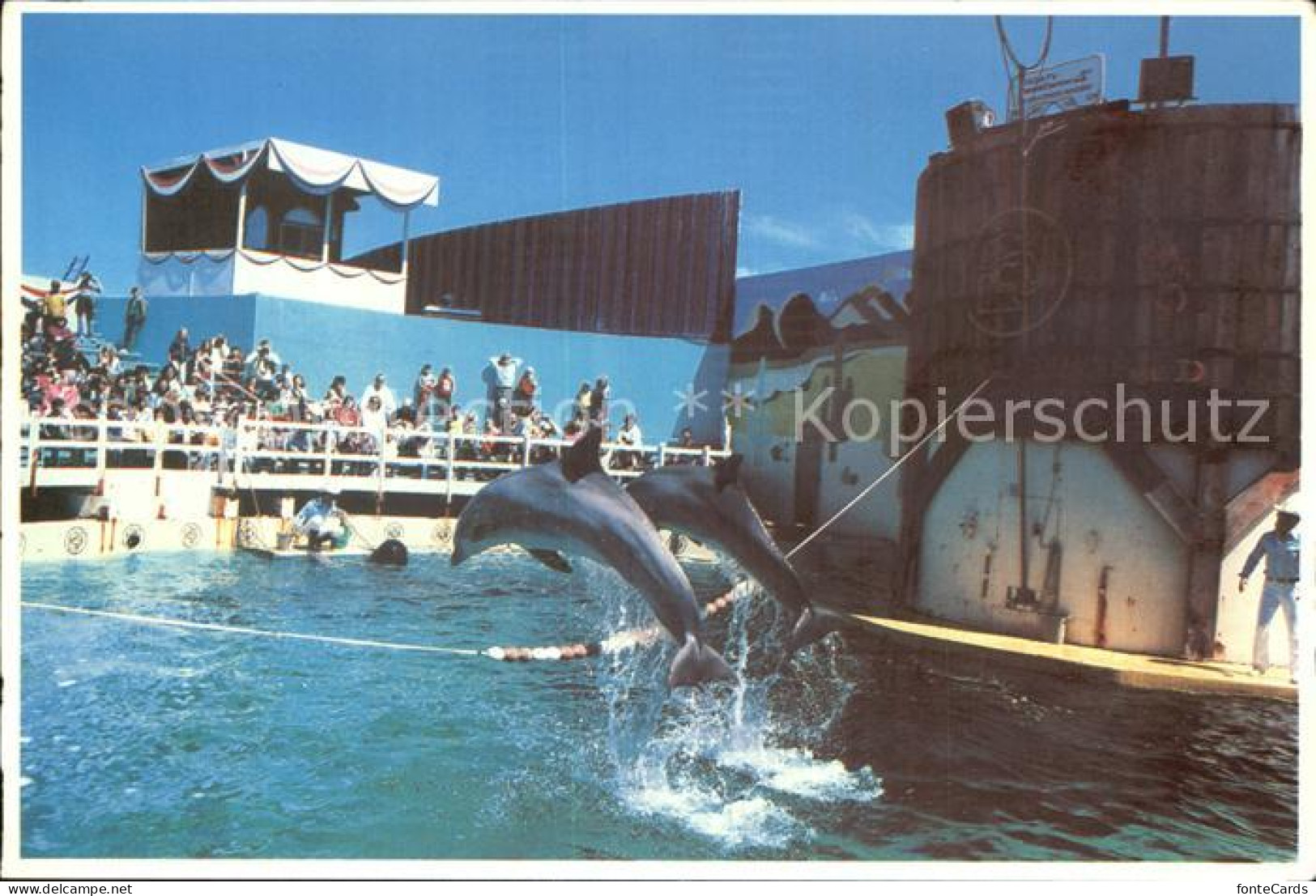 72582830 Redwood_City Marine World Africa Dolphins - Sonstige & Ohne Zuordnung