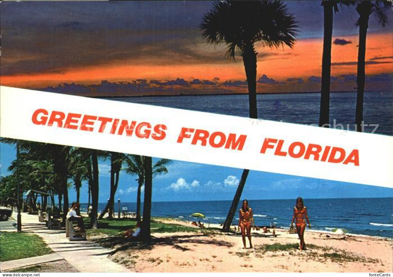 72582813 Florida_US-State Beach - Sonstige & Ohne Zuordnung