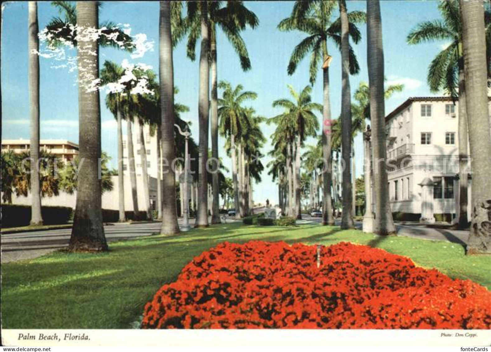 72582810 Palm_Beach Royal Palm Way - Autres & Non Classés