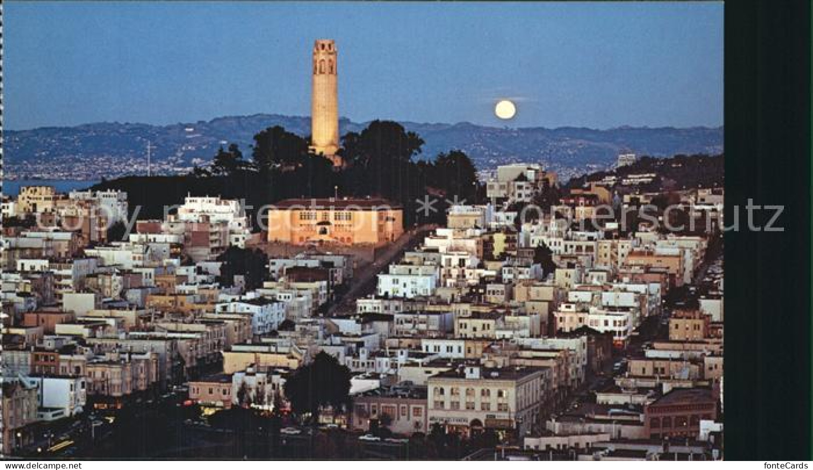72582745 San_Francisco_California Majestic Colt Tower  - Autres & Non Classés