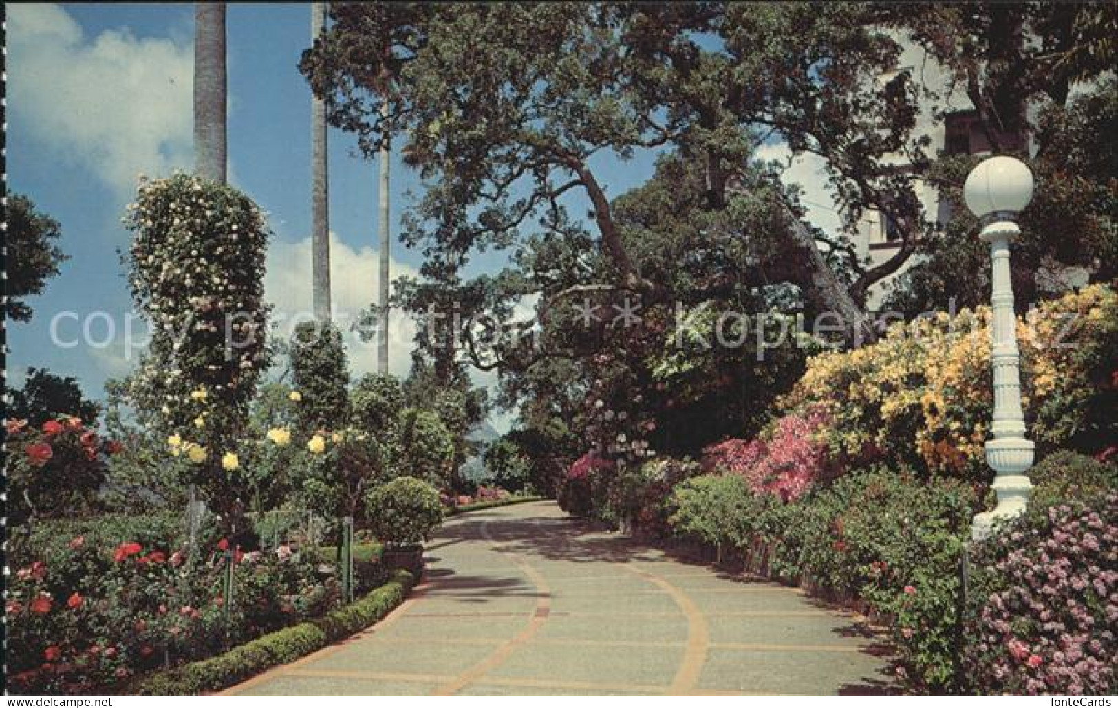 72582246 San_Simeon State Historical Monument Gardens Casa Grande - Other & Unclassified