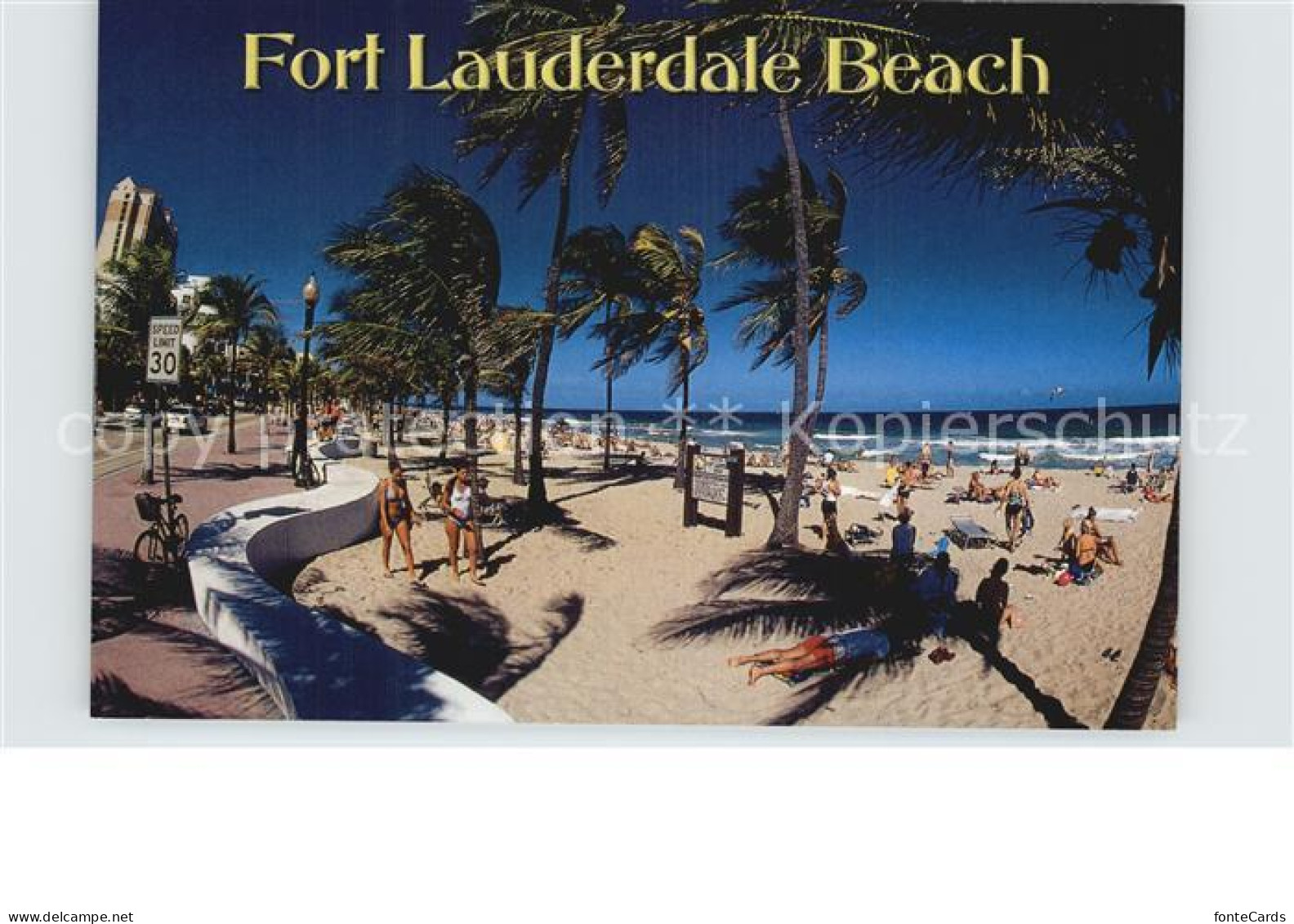 72582158 Fort_Lauderdale Beach Palmtrees - Sonstige & Ohne Zuordnung