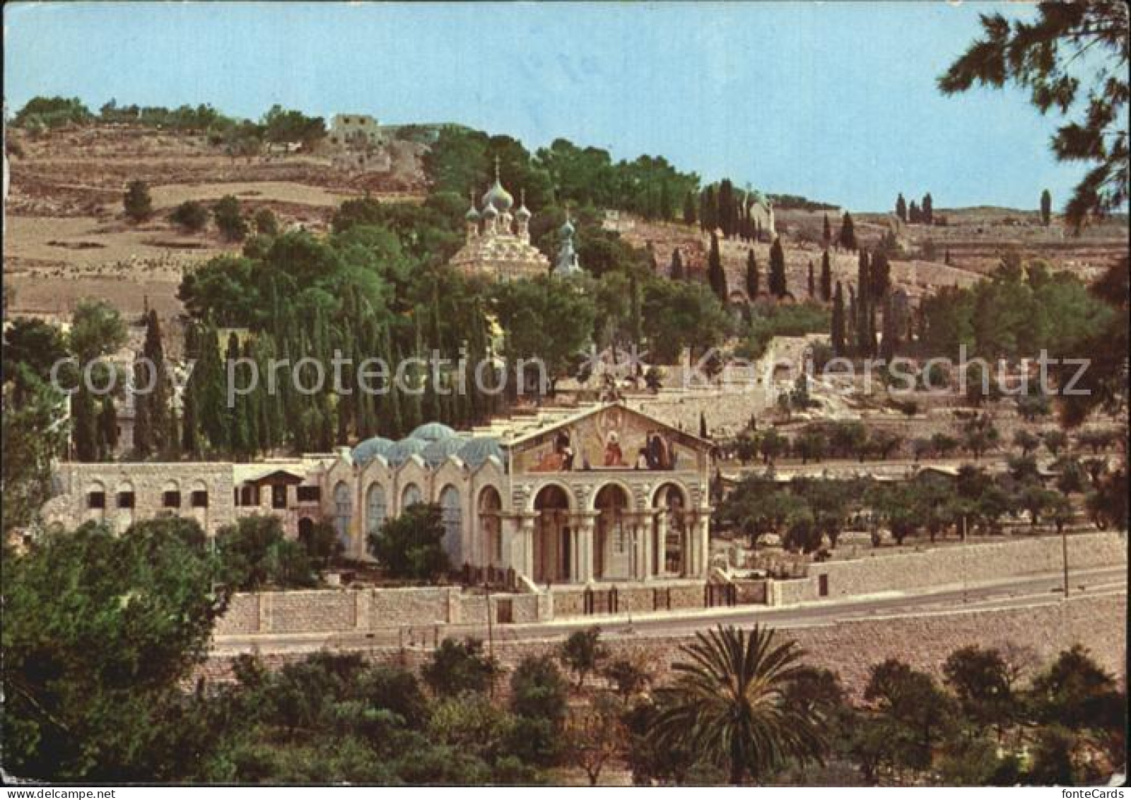 72581982 Jerusalem Yerushalayim Basilica And Gardens Of Gethsemane Israel - Israel