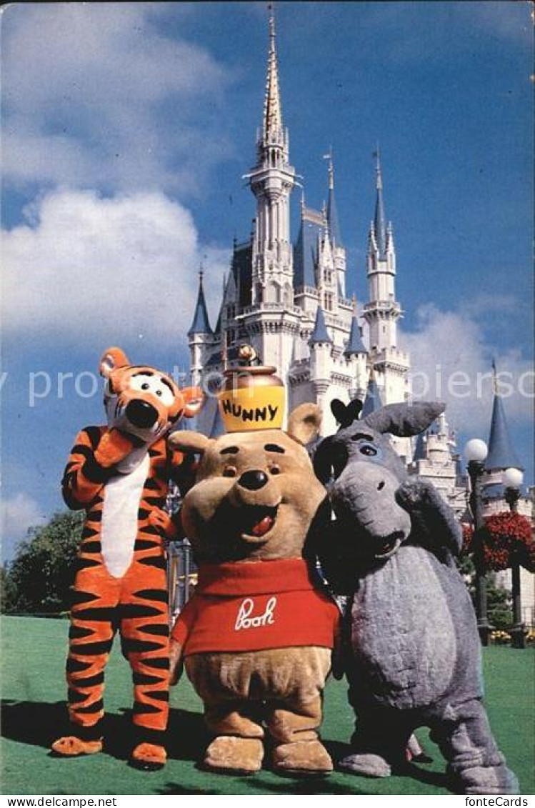 72581273 Florida_US-State Walt Disney World - Autres & Non Classés