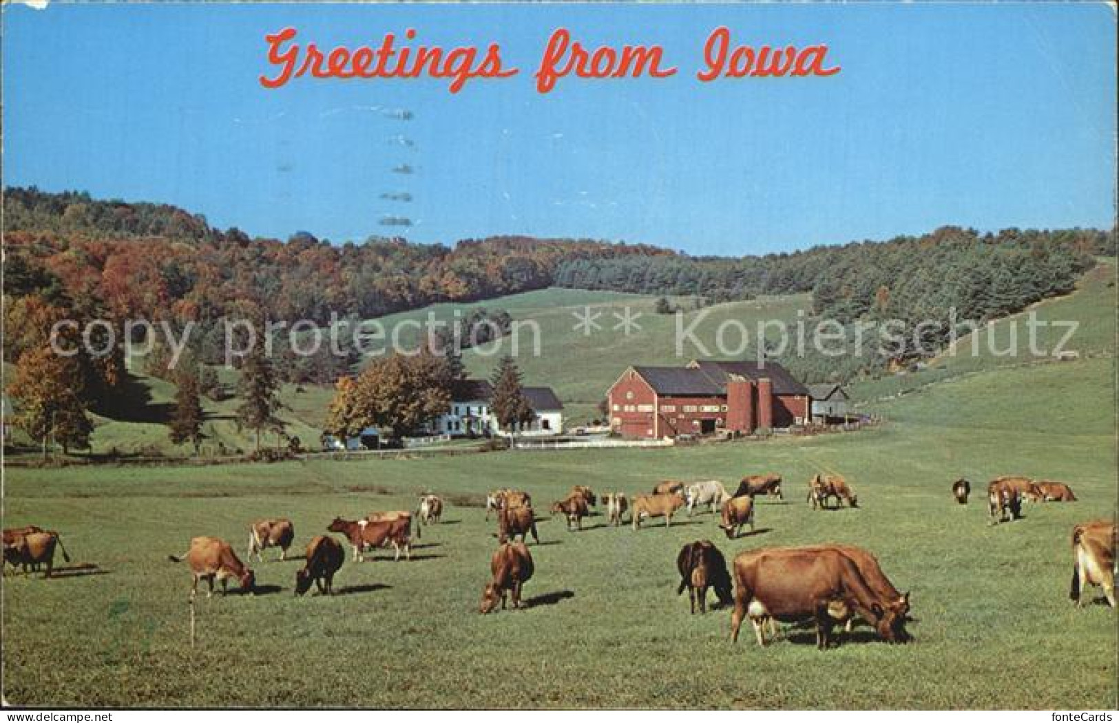 72578560 Iowa Cows Farm - Andere & Zonder Classificatie